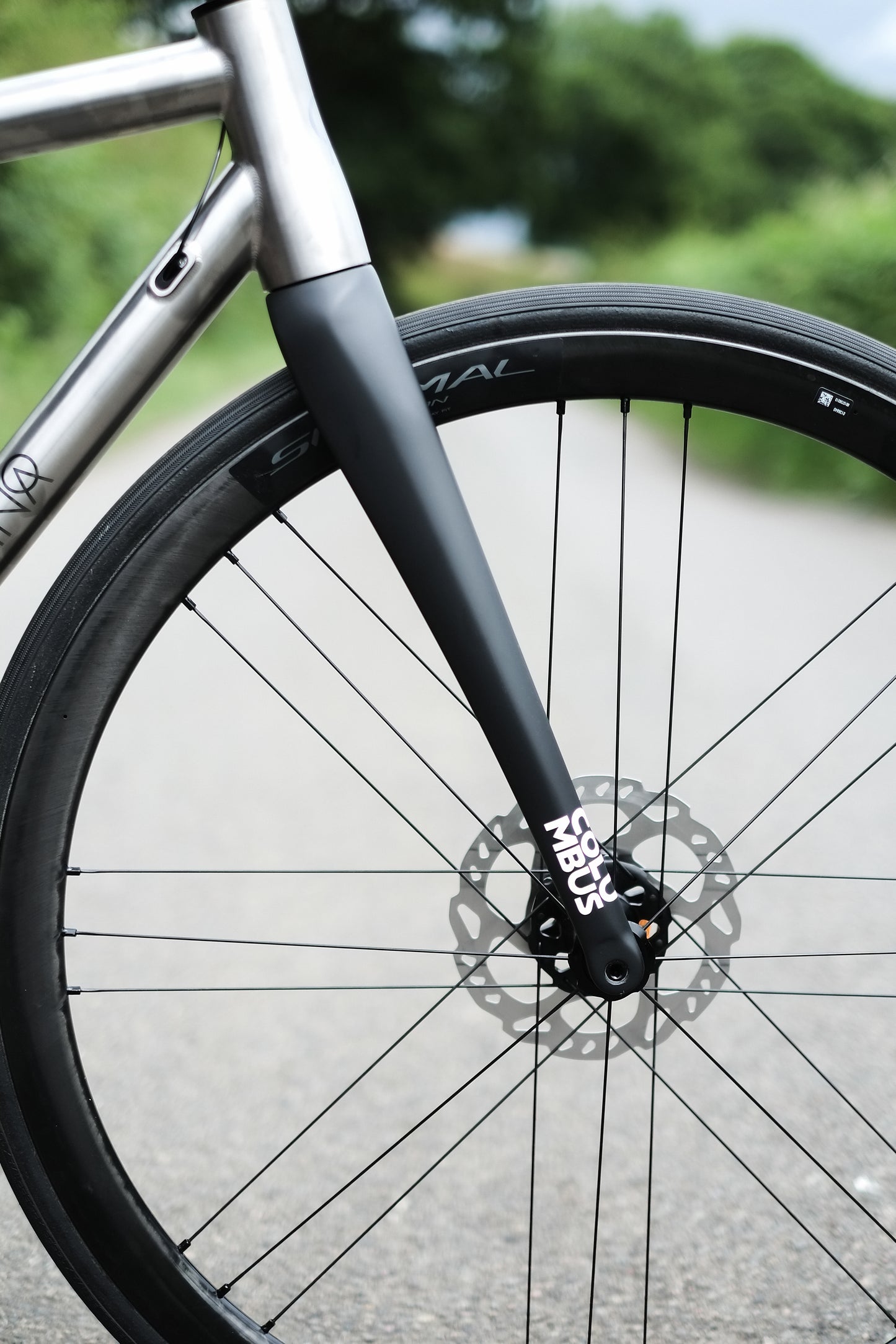 Columbus Futura Disc Fork